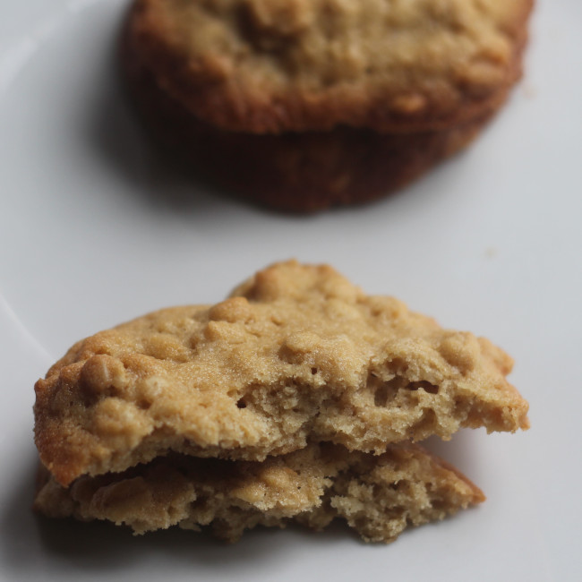 cold maple oatmeal cookies.